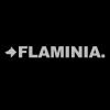  Flaminia